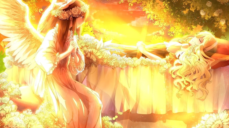 wings, sunlight, leisure activity, arts culture and entertainment, women, Kirisame Marisa, anime, clothing, plant, sleeping, celebration, sunset, yellow