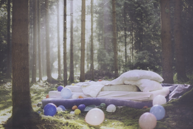 white, purple, plant, forest, tree trunk, balloon, Hanna Fasching, bed, trunk, sheet, land, sunlight, tranquility, surface level, day, environment, tranquil scene