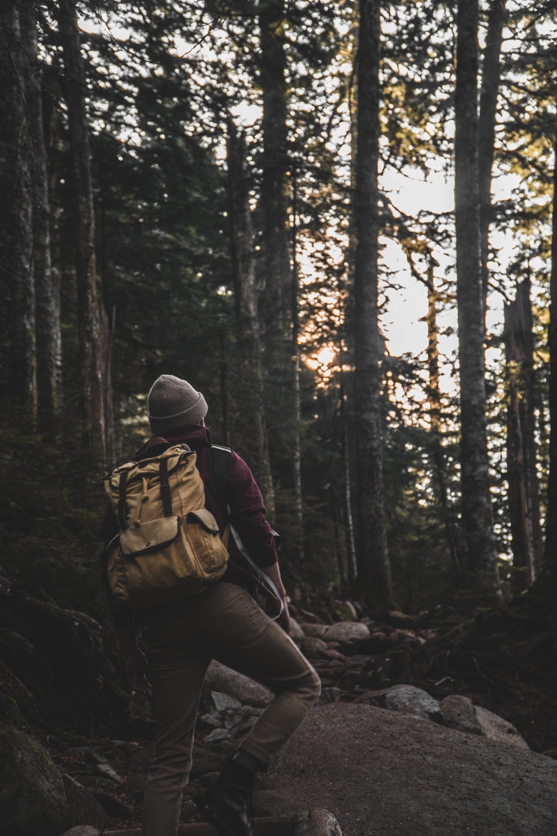 shoe, tree, day, adult, outdoors, apparel, nature, trunk, person, forest, woodland, full length, people, leisure activities, leisure activity, adventure