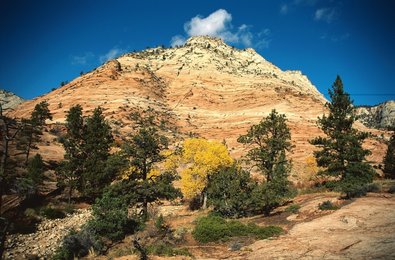 park - Man Made Space, coniferous, beauty In Nature, mountain Range, physical geography, geology, trees, rock, travel, remote, summer, 1080P, sky, sandstone