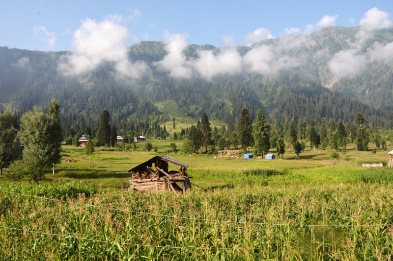beauty in nature, grass, cloud - sky, agriculture, outdoors, day, landscape, no people, nature, mountain, field, scenics - nature, 4K, tranquil scene