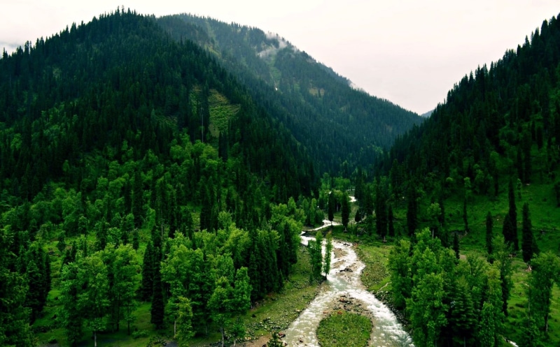 foliage, Tao-Butt, scenics - nature, Pakistan, no people, River, Landscape, environment, plant, mountain, non-urban scene, growth, coniferous tree, Forest