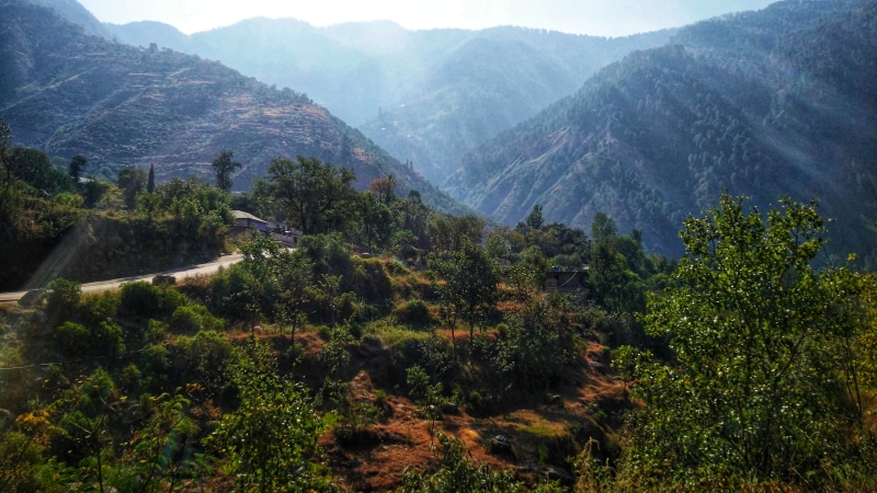 tranquility, no people, land, tree, trees, forest, scenics - nature, road, nature, green color, remote, 4K, mountain, landscape, environment, mountain range