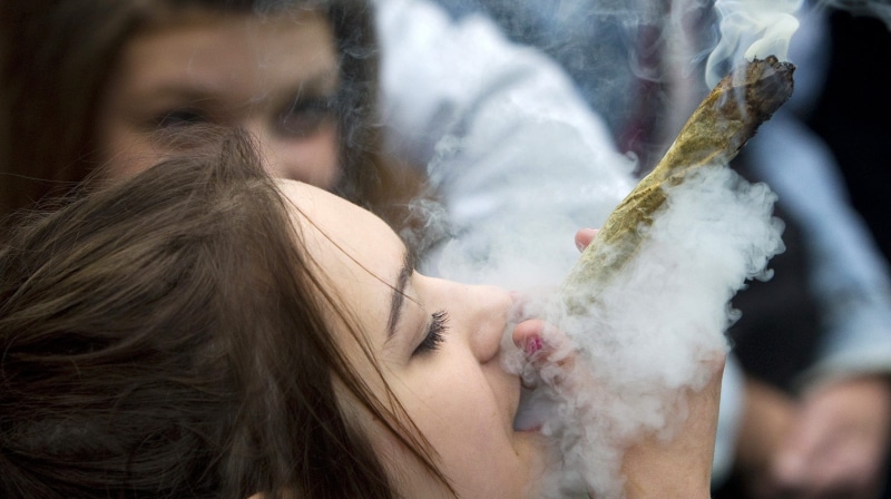 420, weed, 2K, cannabis, marijuana