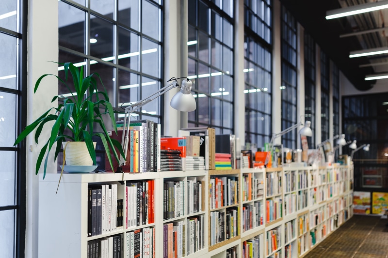 knowledge, education, glass - material, place of work, visit, architecture, focus on foreground, potted plant, no People, bookstore, factory, built Structure