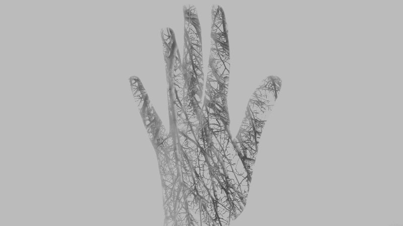 double exposure, fingers, branch, monochrome, simple background, digital art, hands, trees, 1080P