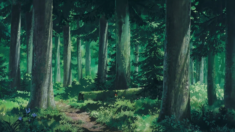 oak, forest clearing, Studio Ghibli, landscape, 4K, forest, nature HD