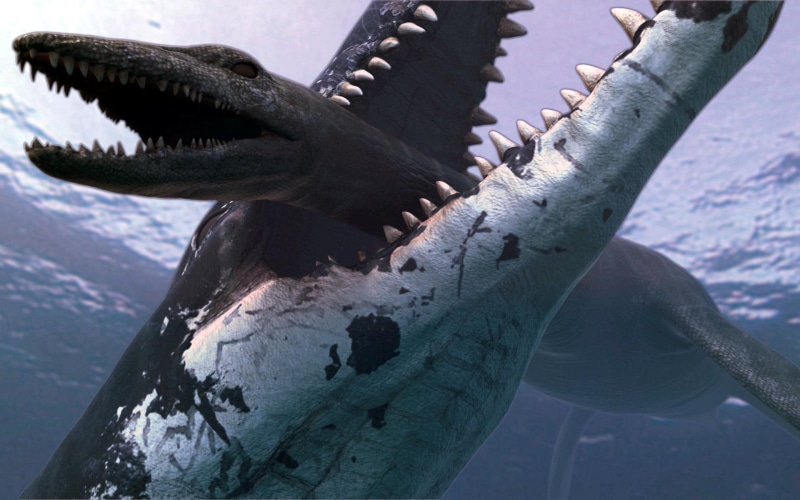 other, ocean, picture, amazing, reptiles, 1080P, plesiosaur, nice, monsters, paleontology, crushing, dinosaur, monster, pliosaur, animals