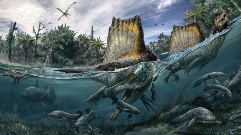 member of the family spinosaurid, The Cretaceous period, 1080P, Spinosaurus, spiny lizard