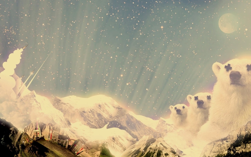 mammal, winter, snowing, pets, nature, dog, one animal, polar, no people, snowcapped mountain, bears, Desktopography, sky, polar bears, animal, vertebrate