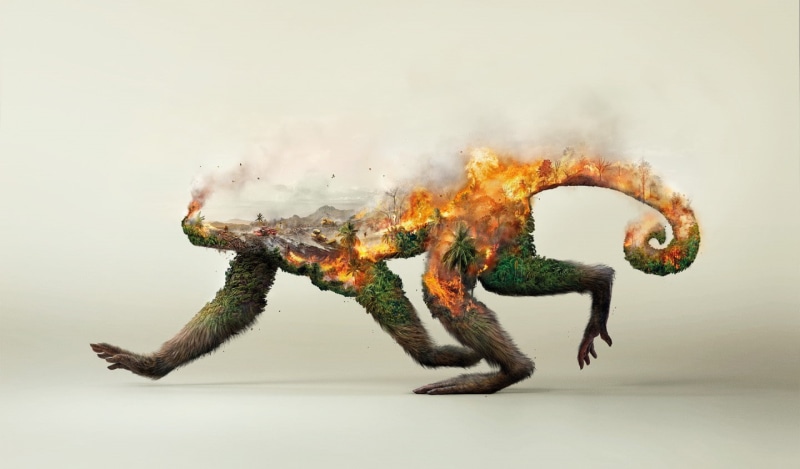 Double Exposure, Trees, artwork, fire, 720P, destruction, forest, animals, Palm Trees, monkeys, digital art, smoke, Environment, nature, Ecology