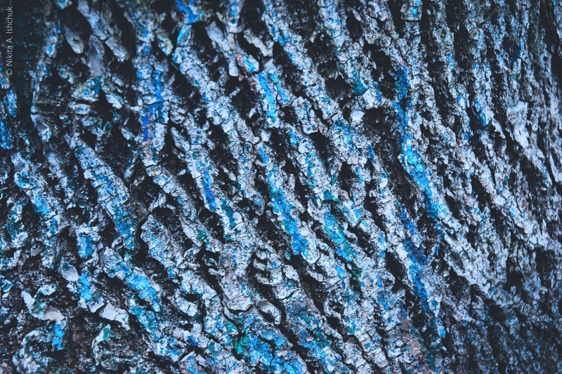 Closeup, full frame, shot, crystal, frozen, pattern, textures, outdoors, winter, wood, backgrounds, textured, close-up, snow, nature, bark, 4K, beauty in nature