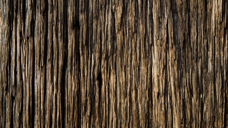 wood - Material, old-fashioned, tree, full frame, backgrounds, surface Level, striped, wood, timber, backdrop, copy space, close-up, textured Effect, abstract