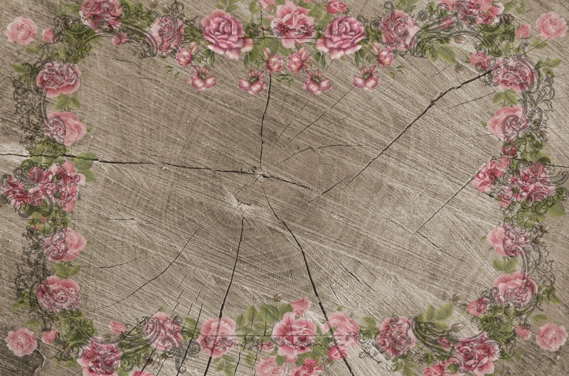 flower, country house, background, pink color, playful, wood, pink, floral frame, flowering plant, vulnerability, 4K, painted, vintage frame, slab, tree rings