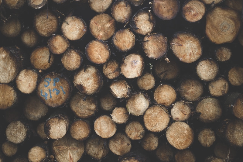 batch, tree log, pile, Wooden Pile, textured, pattern, large group of objects, full frame, round out, deforestation, texture, timber, stacks, wood, logs