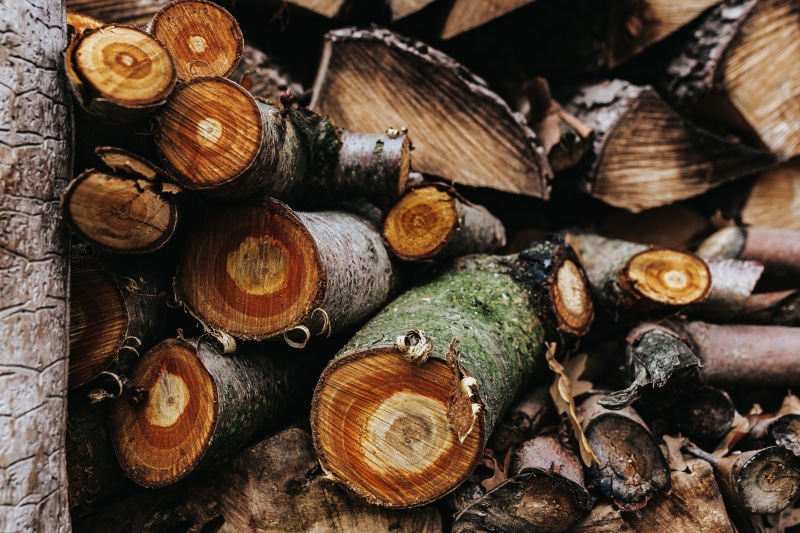 backgrounds, timber, large group of objects, textured, nature, outdoors, full frame, fossil fuel, no people, 4K, wood, abundance, lumber Industry, firewood