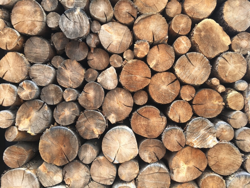 deforestation, wooden, log, abundance, texture, stack, backgrounds, brown, wood grain, nature, pine, environmental issues, heap, logs, timber, fuel and power generation