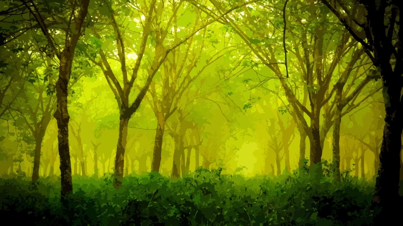 camouflage, nature, woodland, forest, painting art, painting, 8K, 8k uhd