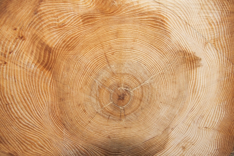 periodically, circle, brown, geometric shape, concentric, pattern, nature, textured, wood - material, photo, wood grain, close-up, 4K, tree, time, grain