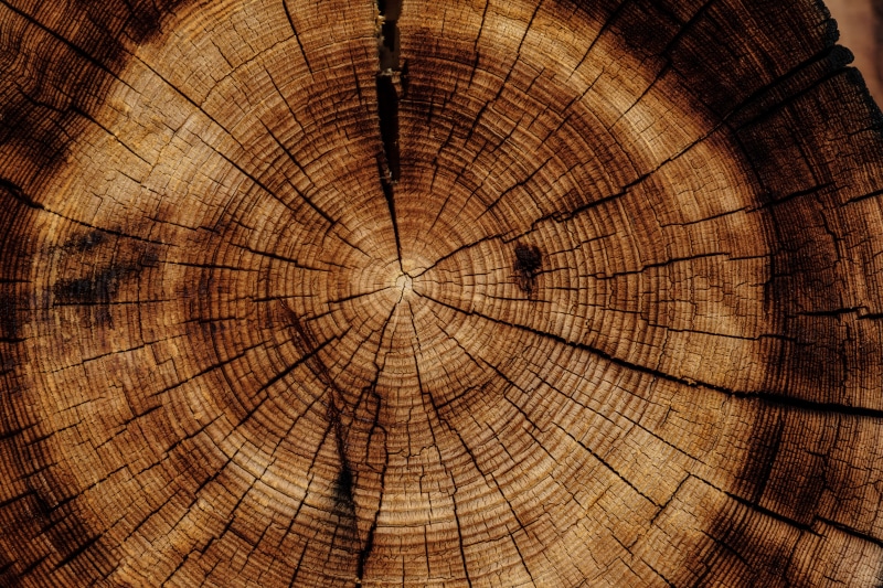circle, cracked, natural pattern, stump, 5K, tree stump, photo, tree ring, wood grain, pattern, tree trunk, textured, trunk, log, tree, brown, wood - material