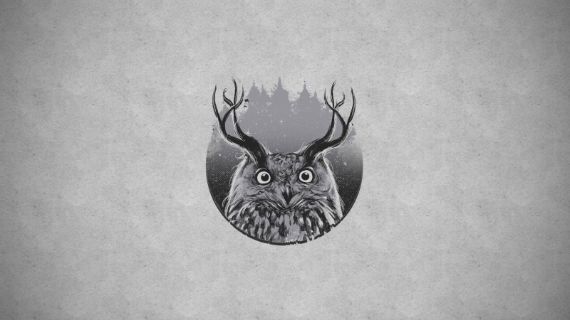 wall - building feature, ornate, representation, animal representation, owl, black, creativity, hanging, animal wildlife, art and craft, day, animal, illustration