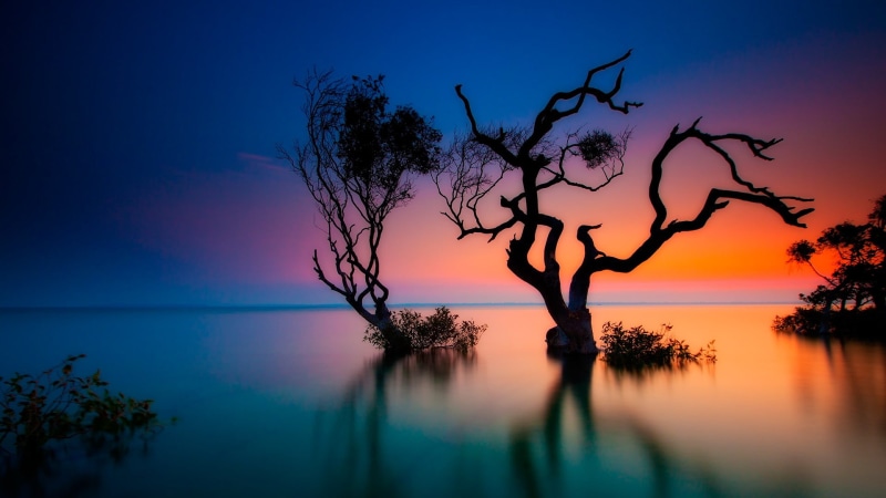 nature, trees, Rainbow Beach, landscape, Queensland, plants, Australia, sunset, 1080P, long exposure