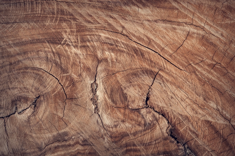no people, 4K, texture, wood grain, wood - material, surface, tree, surface level, indoors, flooring, close-up, bark, man made object, pattern