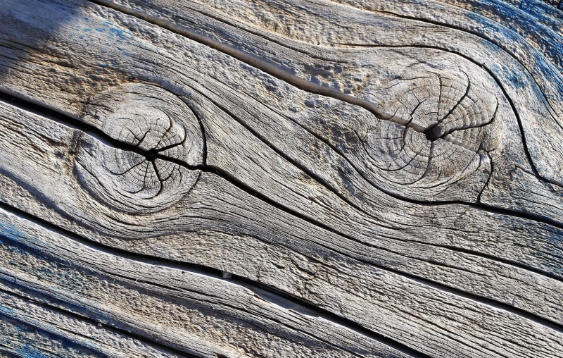 bark, textured, cracked, close-up, texture, nature, tree trunk, tree, wood, 2K, full frame, wood - material, brown, natural pattern, wood grain, trunk
