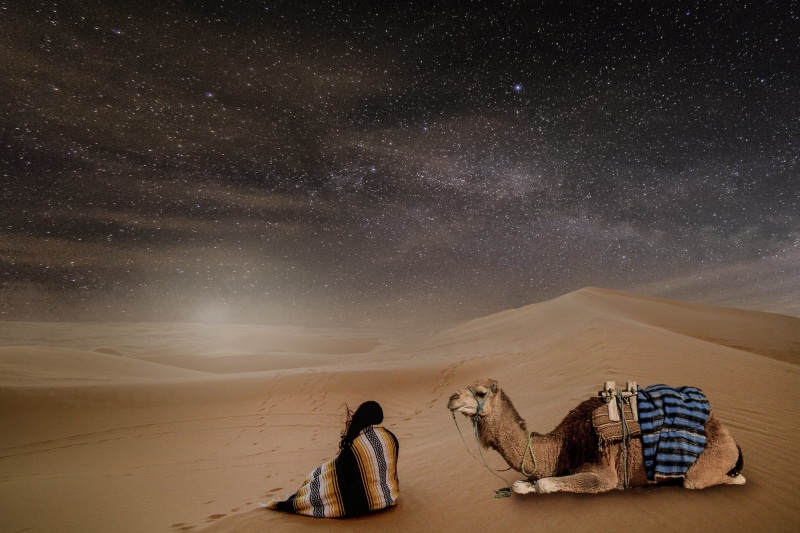 desert, sand, star - space, sahara, click, climate, camel, dry, silent, relax, views, person, environment, dromedary, viewing, 5K, beauty in nature, to watch