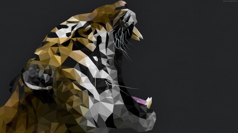 studio shot, indoors, cut out, clothing, roar, rear view, copy space, Tiger, black background, gray background, pattern, creativity, standing, men, occupation