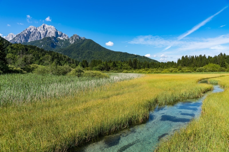 1080P, Kranjska Gora, Slovenia, Zelenci