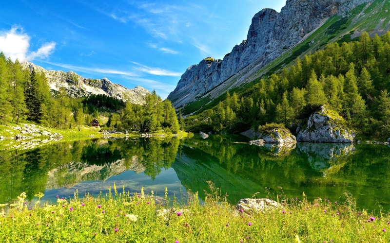 triglav, 2K, stones, lovely, lakeshore, clouds, slovenia, shore, grass, greenery, flowers, lake, nice, beautiful