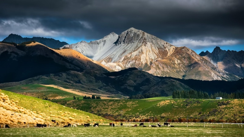 outdoors, tranquil scene, field, no people, animal, nature, pasture, cloud - sky, mountainous landforms, cows, cattle, landscape, highland, mount scenery