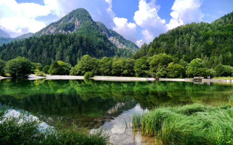 tree, reflection, tablet, lake, hd, forests, kranjska, cloud - sky, tranquil scene, pc, non-urban scene, nature, water, growth, mountain, tranquility, jasna