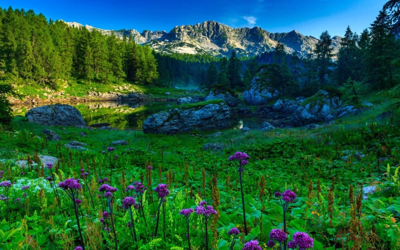 landscape, spring, photos, lake, park, beautiful, slovenia, triglav, 1080P, national, double