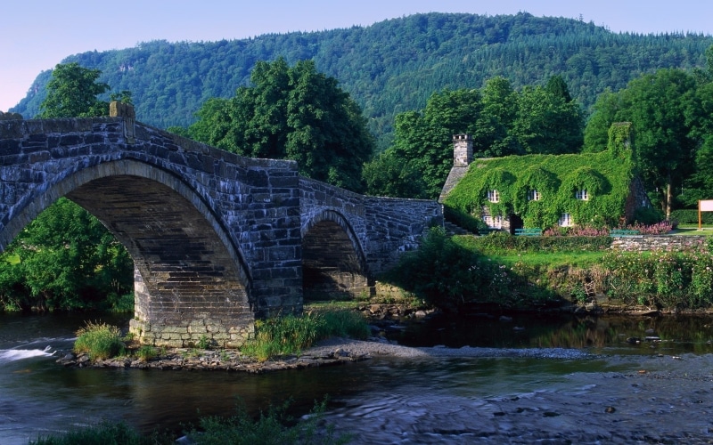 River, Bridge, Green, 1080P, Stone, House