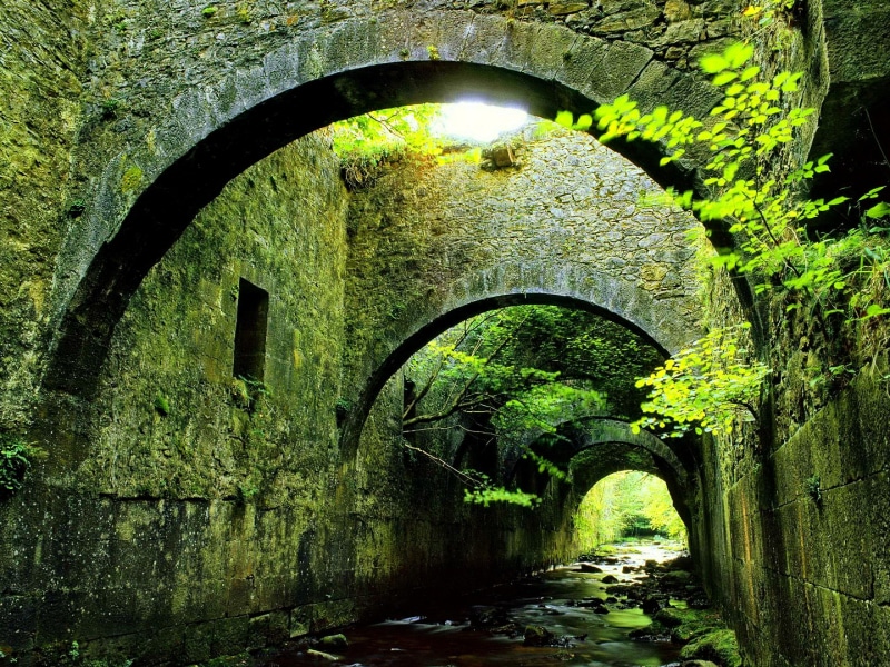 forest, bridge, 2K, stream, reflection, river, green, water, beautiful, lovely, tunnel, nice, peaceful