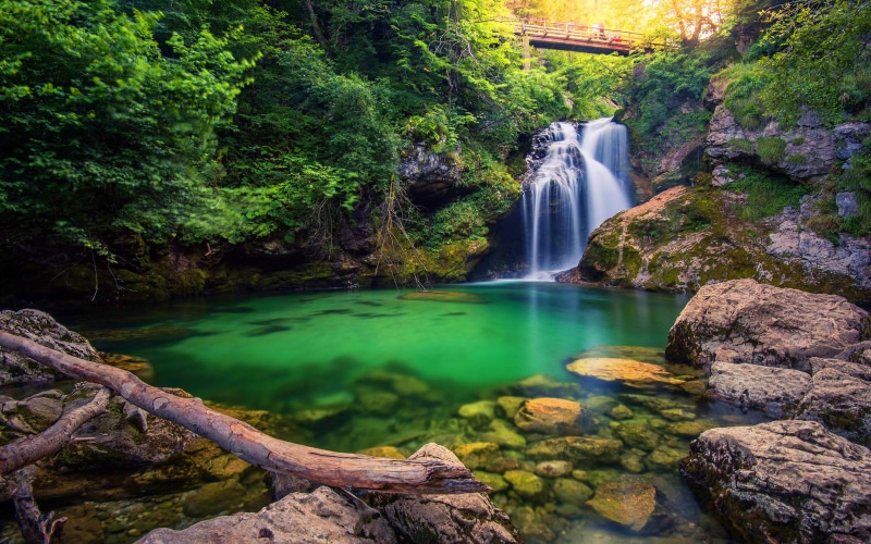 rainforest, landscape, 4K, motion, stream - flowing water, photography, power in nature, nature, purity, north, non-urban scene, klisura, solid, municipalities