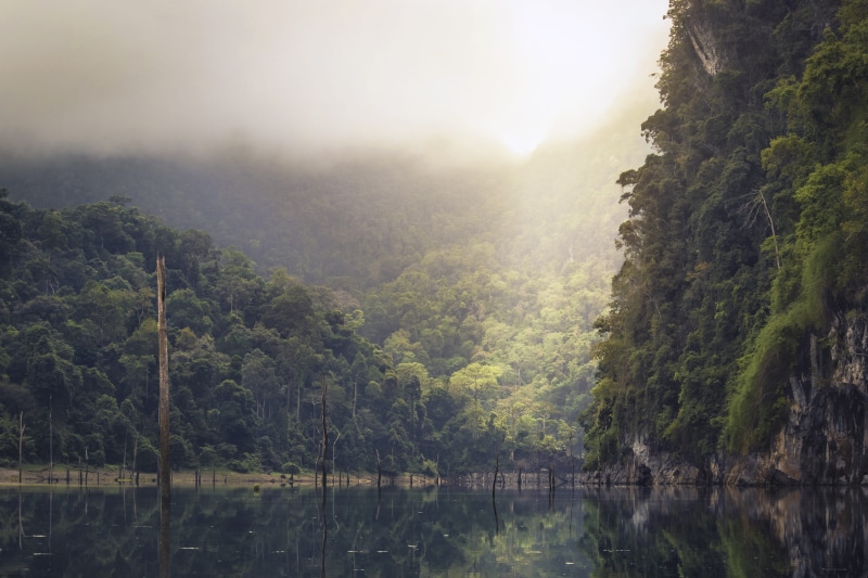 tranquility, beauty in nature, non-urban scene, no people, jungle, scenics - nature, mountain, lake, landscape, green, environment, khao sok national park