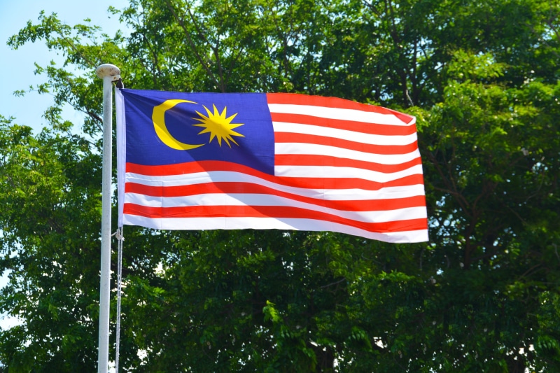 ensign, growth, country, tree, symbol, asia, striped, pride, pole, government, day, waving, nation, star shape, malaysia, patriotic, no people, low angle view