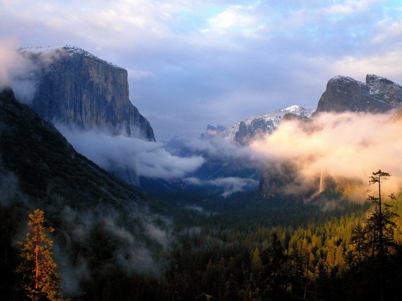 forest, coniferous tree, mountain, tranquil scene, no people, nature, land, clouds, tranquility, sky, travel destinations, capitan, USA, Yosemite National Park
