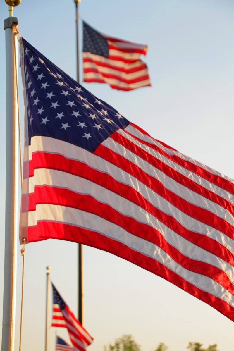 dom, us, emblem, outdoors, wind, banner, united, flags, no people, majestic, 1080P, democratic, election, american flag, pride, nation, clear sky, flying