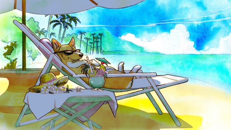 1080P, cowboy bebop, dog, enjoy, vacation, bebop, cowboy, beach