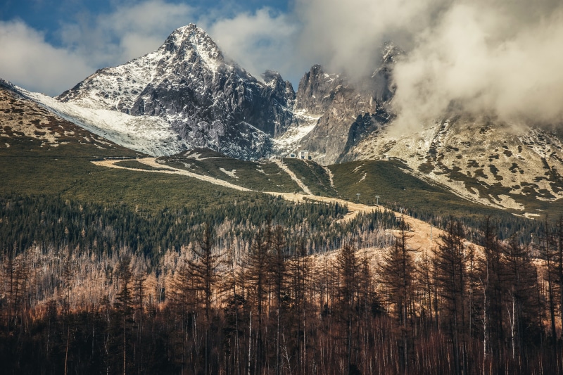 forest, High Tatras, mountains, 5K