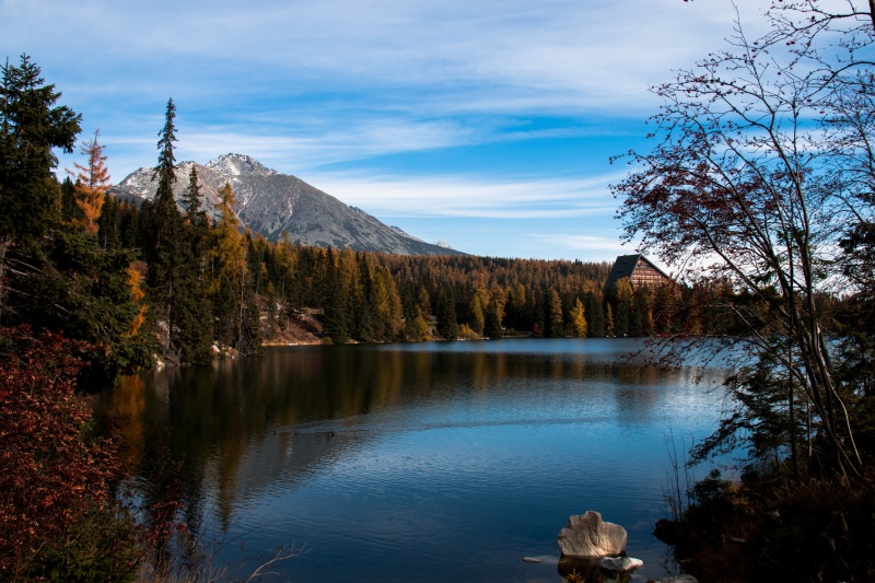 forest, growth, tourism, tree, non-urban scene, day, lake, sky, nature, idyllic, vysoké tatry, clouds, tranquil scene, no people, outdoors, 5K, plant
