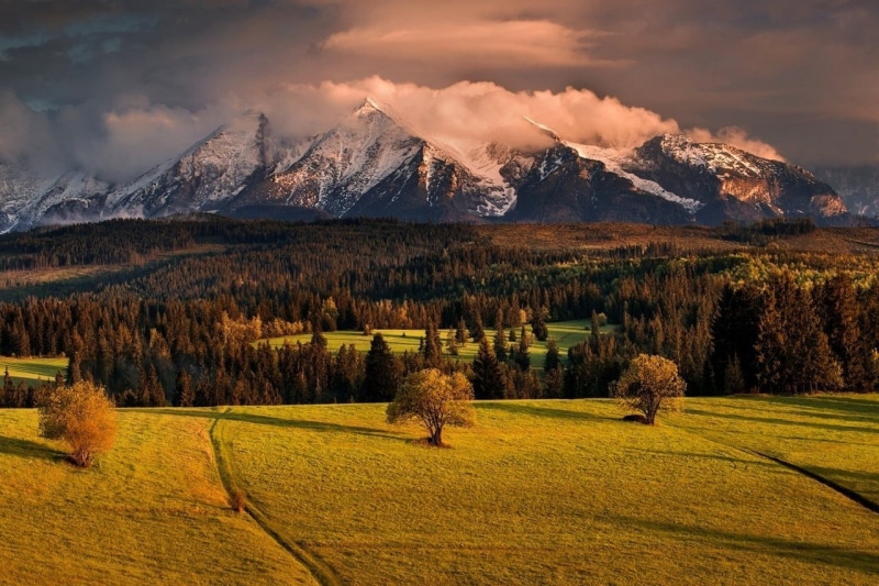 green, nature, clouds, forest, 720P, outdoors, mountain, sunset, landscape, trees, tranquil scene, environment, tree, land, mountain peak, tranquility