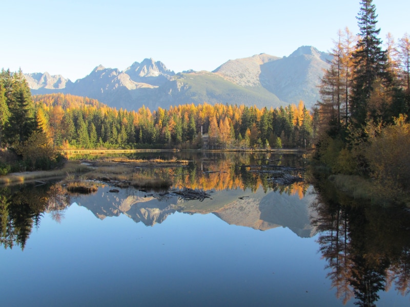 growth, idyllic, tree, view, tranquility, reflection lake, lake, no people, mountain, 4K, slovakia, plant, sky, non-urban scene, scenics - nature, beauty in nature
