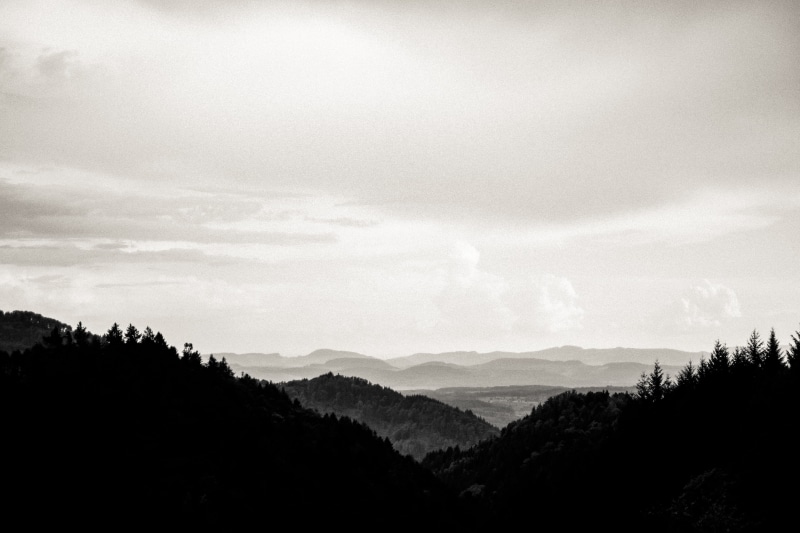 tranquil scene, recreation, highlands, landscape, tree, hilly, range, ecology, journey, park, hike, mountains, black and white, europe, germany, forested
