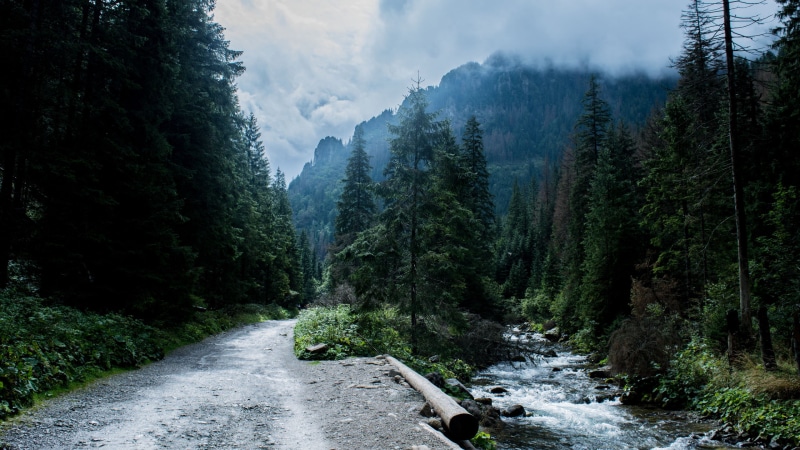 forest, landscape, river, road, Tatra Mountains, 2K, mountains