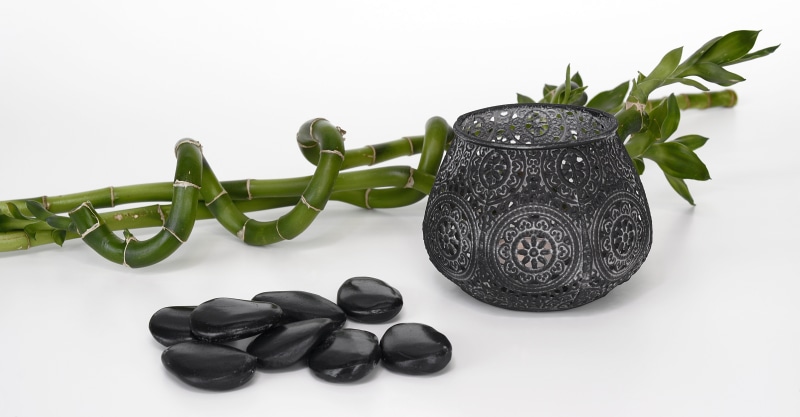 wellness, heiss, vase, branch, studio shot, still life, leaf, nature, sprituell, massage, food, group of objects, luck, art and craft, frisch, relaxation